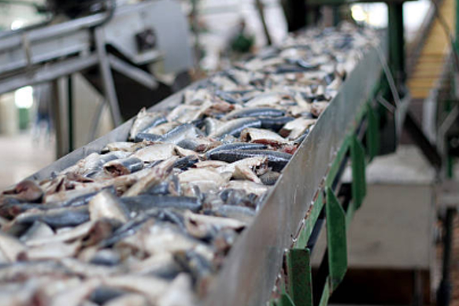 非熱滅菌技術(shù)：海鮮常溫滅菌技術(shù)