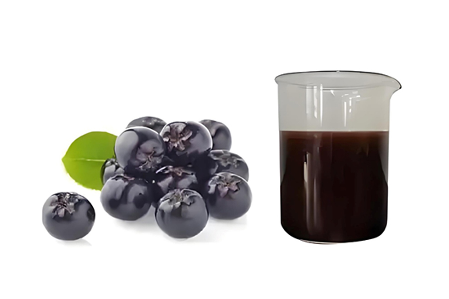 黑果花楸汁