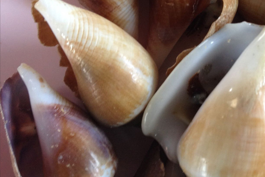 超高壓HPP技術(shù)破解海螺脫殼難題：實(shí)現(xiàn)高效無(wú)損加工與品質(zhì)升級(jí)