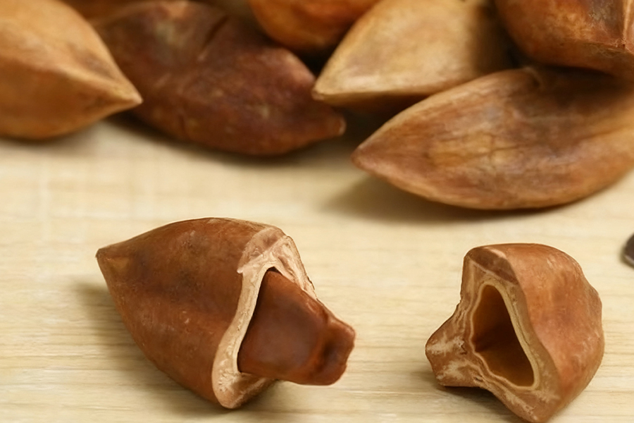 超高壓微射流設(shè)備：解鎖紅松松子殼多糖價值的關(guān)鍵技術(shù)